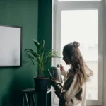 Reconnect with Nature: Why Having Plants Around You Can Transform Your Mental Well-Being