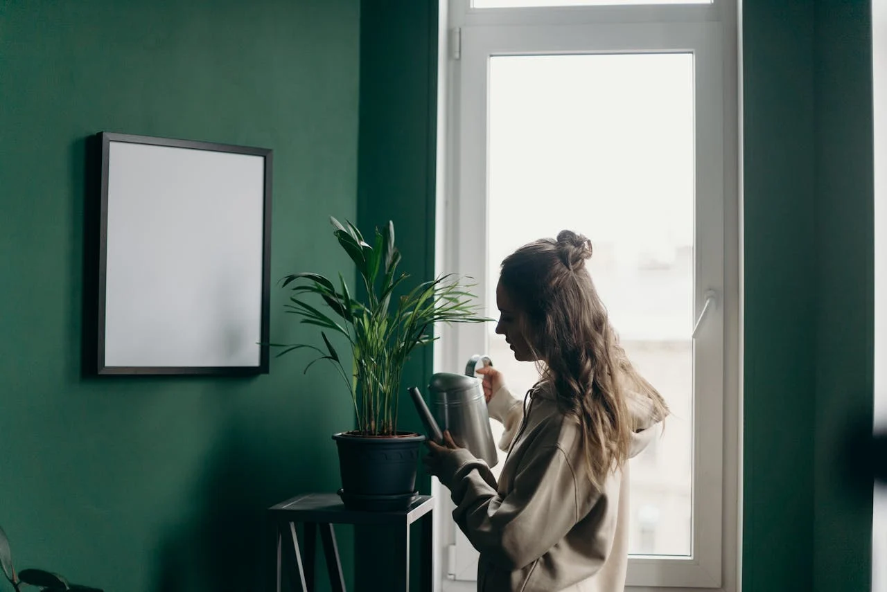 calming effects of plants